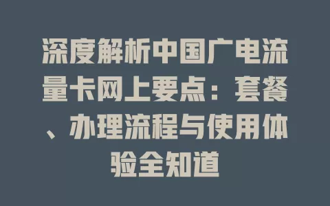 深度解析中国广电流量卡网上要点：套餐、办理流程与使用体验全知道