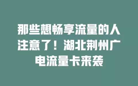 那些想畅享流量的人注意了！湖北荆州广电流量卡来袭