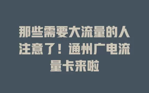 那些需要大流量的人注意了！通州广电流量卡来啦