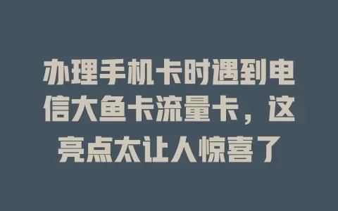 办理手机卡时遇到电信大鱼卡流量卡，这亮点太让人惊喜了