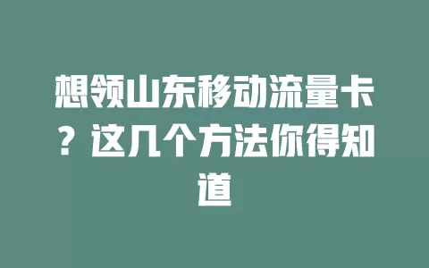 想领山东移动流量卡？这几个方法你得知道