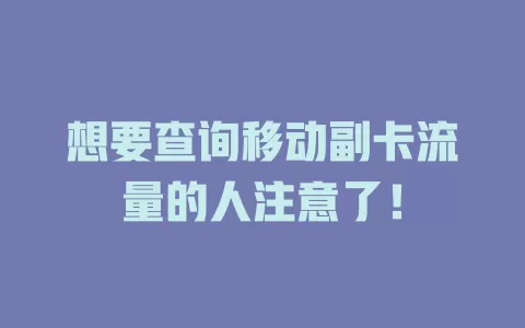 想要查询移动副卡流量的人注意了！