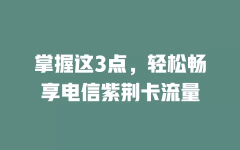 掌握这3点，轻松畅享电信紫荆卡流量