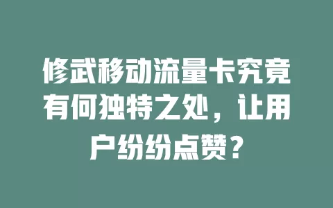 修武移动流量卡究竟有何独特之处，让用户纷纷点赞？