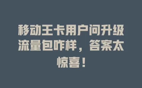 移动王卡用户问升级流量包咋样，答案太惊喜！