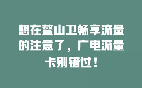 想在鳌山卫畅享流量的注意了，广电流量卡别错过！