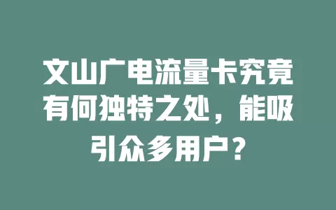文山广电流量卡究竟有何独特之处，能吸引众多用户？
