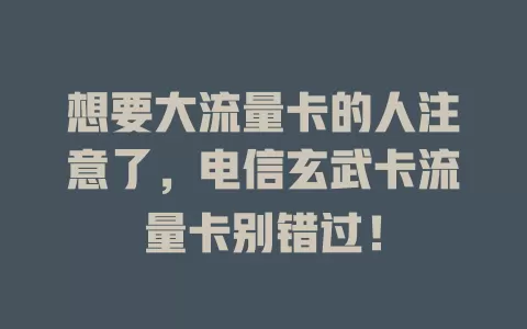 想要大流量卡的人注意了，电信玄武卡流量卡别错过！