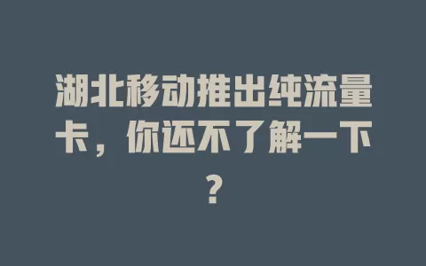 湖北移动推出纯流量卡，你还不了解一下？