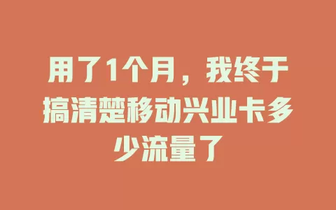 用了1个月，我终于搞清楚移动兴业卡多少流量了