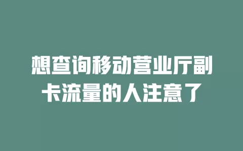 想查询移动营业厅副卡流量的人注意了