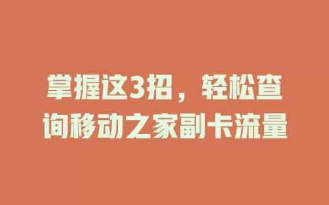掌握这3招，轻松查询移动之家副卡流量