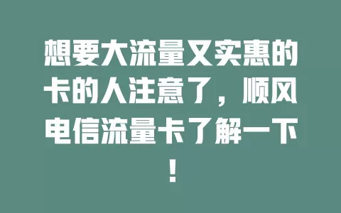 想要大流量又实惠的卡的人注意了，顺风电信流量卡了解一下！