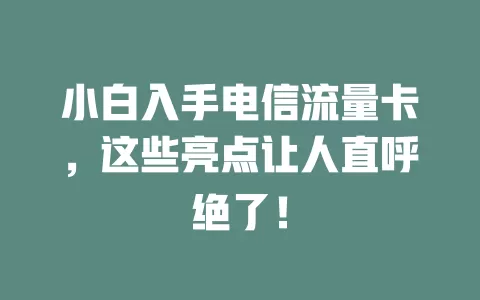 小白入手电信流量卡，这些亮点让人直呼绝了！