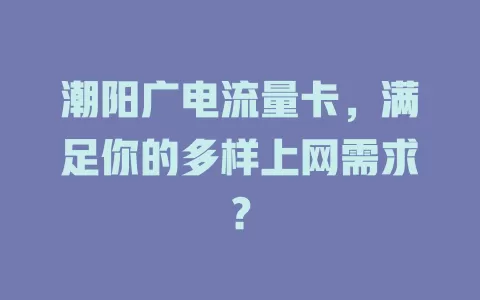 潮阳广电流量卡，满足你的多样上网需求？