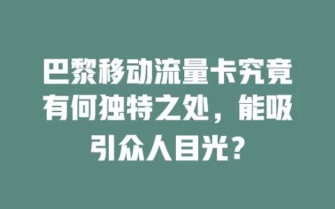 巴黎移动流量卡究竟有何独特之处，能吸引众人目光？
