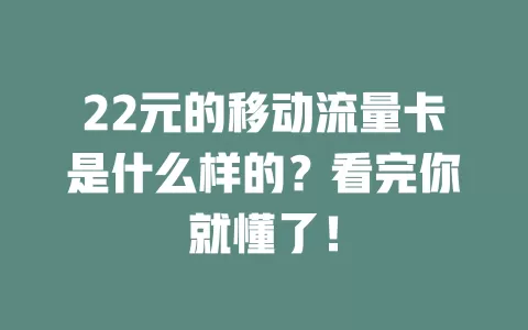22元的移动流量卡是什么样的？看完你就懂了！