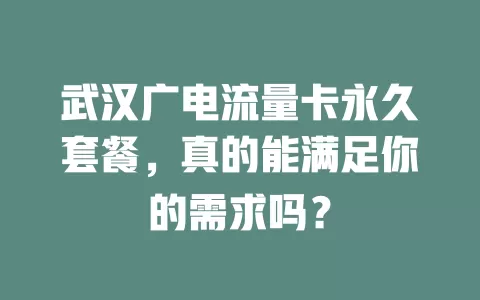 武汉广电流量卡永久套餐，真的能满足你的需求吗？