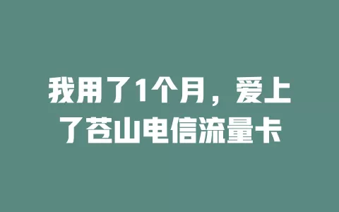 我用了1个月，爱上了苍山电信流量卡