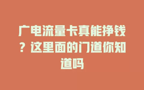 广电流量卡真能挣钱？这里面的门道你知道吗