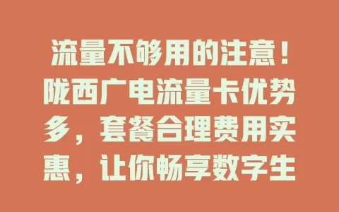 流量不够用的注意！陇西广电流量卡优势多，套餐合理费用实惠，让你畅享数字生活