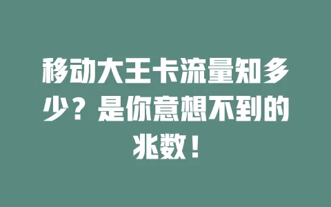 移动大王卡流量知多少？是你意想不到的兆数！