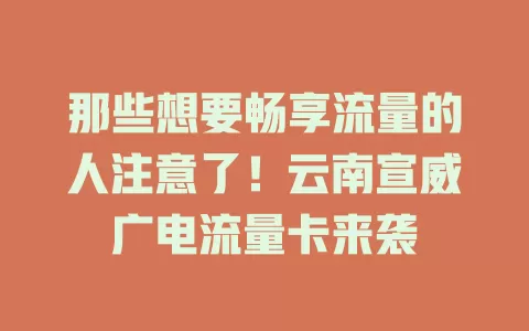 那些想要畅享流量的人注意了！云南宣威广电流量卡来袭