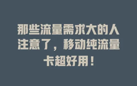 那些流量需求大的人注意了，移动纯流量卡超好用！