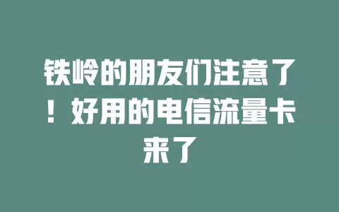 铁岭的朋友们注意了！好用的电信流量卡来了