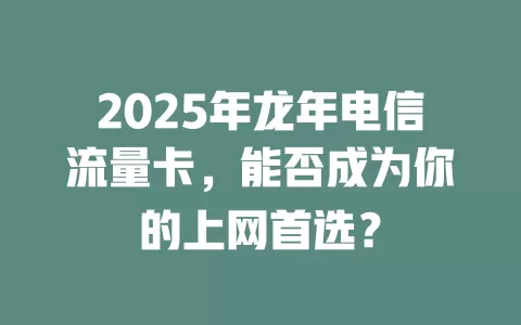 2025年龙年电信流量卡，能否成为你的上网首选？