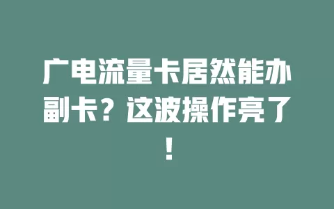 广电流量卡居然能办副卡？这波操作亮了！