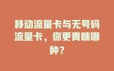 移动流量卡与无号码流量卡，你更青睐哪种？