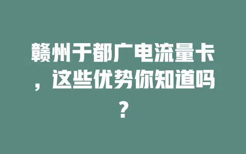 赣州于都广电流量卡，这些优势你知道吗？