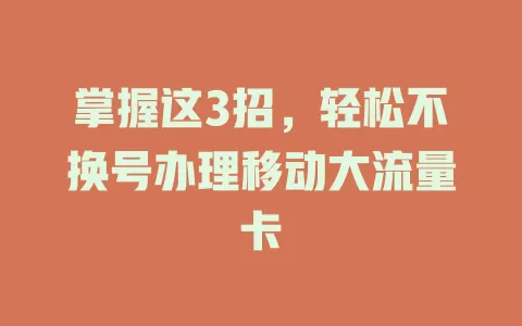 掌握这3招，轻松不换号办理移动大流量卡