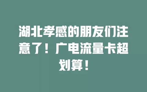 湖北孝感的朋友们注意了！广电流量卡超划算！