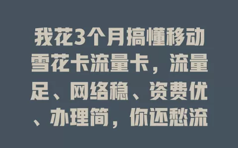 我花3个月搞懂移动雪花卡流量卡，流量足、网络稳、资费优、办理简，你还愁流量吗？