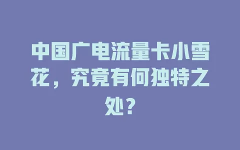 中国广电流量卡小雪花，究竟有何独特之处？
