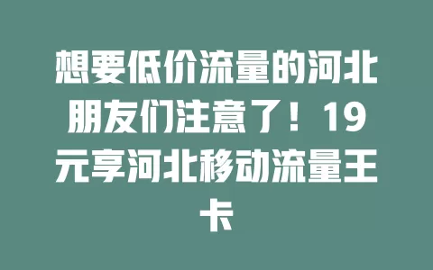 想要低价流量的河北朋友们注意了！19元享河北移动流量王卡