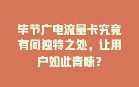 毕节广电流量卡究竟有何独特之处，让用户如此青睐？
