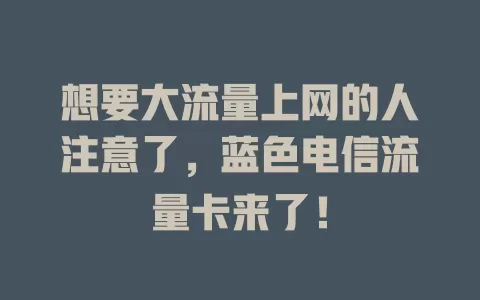 想要大流量上网的人注意了，蓝色电信流量卡来了！