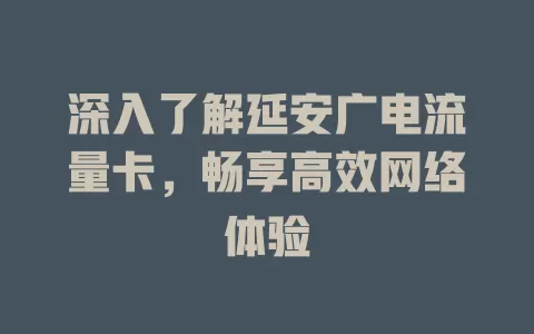 深入了解延安广电流量卡，畅享高效网络体验