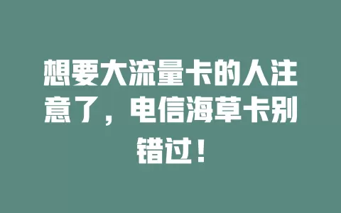 想要大流量卡的人注意了，电信海草卡别错过！