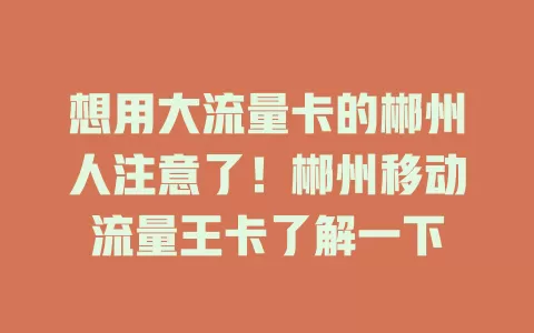 想用大流量卡的郴州人注意了！郴州移动流量王卡了解一下
