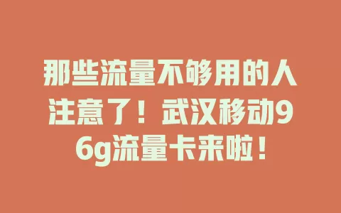 那些流量不够用的人注意了！武汉移动96g流量卡来啦！