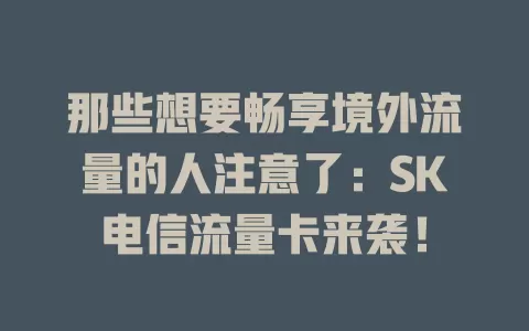 那些想要畅享境外流量的人注意了：SK电信流量卡来袭！