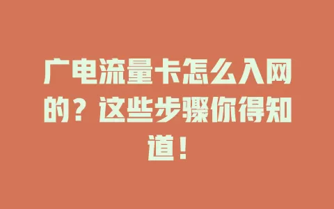 广电流量卡怎么入网的？这些步骤你得知道！