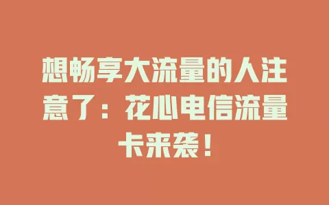 想畅享大流量的人注意了：花心电信流量卡来袭！