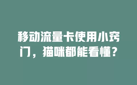 移动流量卡使用小窍门，猫咪都能看懂？