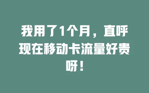 我用了1个月，直呼现在移动卡流量好贵呀！
