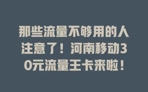 那些流量不够用的人注意了！河南移动30元流量王卡来啦！